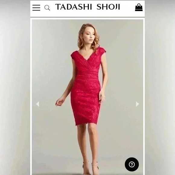 Tadashi Shoji Dresses & Skirts - Tadashi Shoji Caria Embroidered Lace Dress